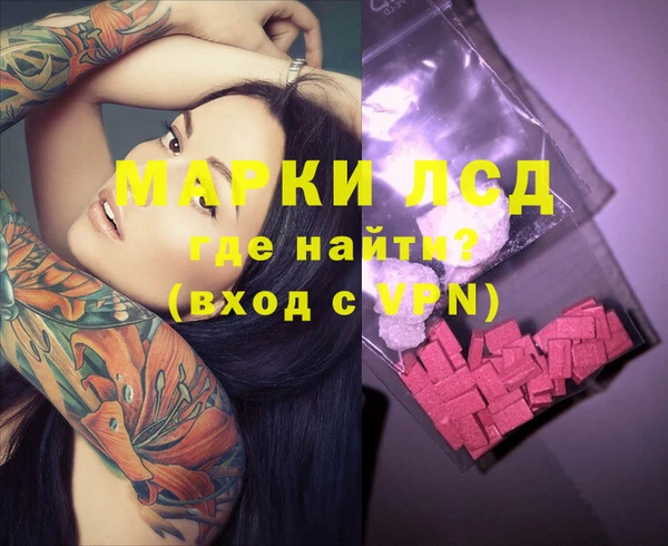 гашик Арсеньев