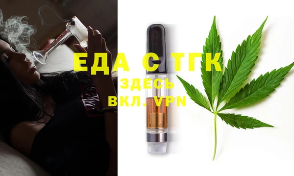 гашик Арсеньев