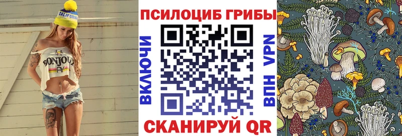 Псилоцибиновые грибы мицелий  гидра ссылки  Кизел 